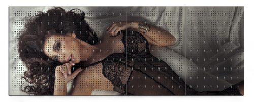 Workerwall Werkstattwände - Sexy Brünette in Dessous