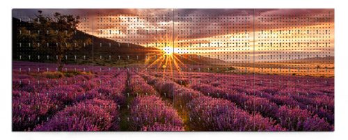 Workerwall Werkstattwände - Lavendelfeld mit Sonnenuntergang
