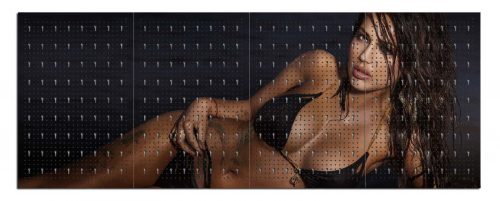 Workerwall Werkstattwände - Sexy Brünette am Strand